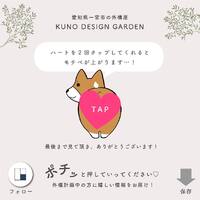 画像328