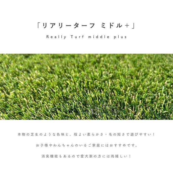 画像332