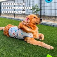 画像334