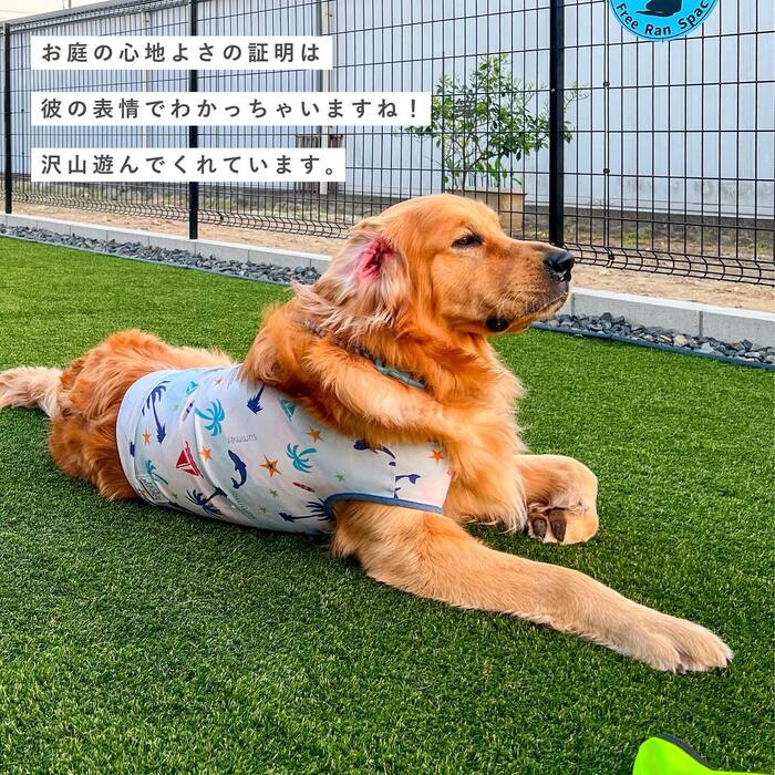 画像334