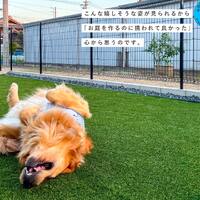 画像335
