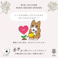 画像355