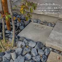 画像393